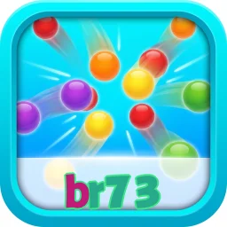 br73